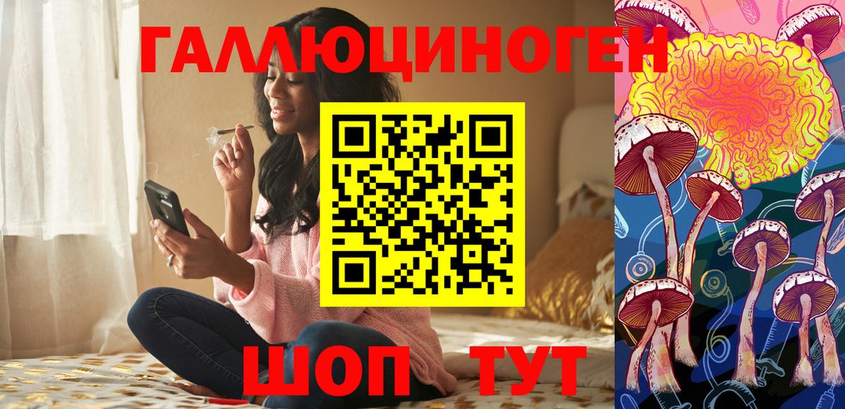 Бийск  Галлюциногенные грибы мицелий  Псилоцибиновые грибы GOLDEN TEACHER  купить  сайты  Вход с VPN 