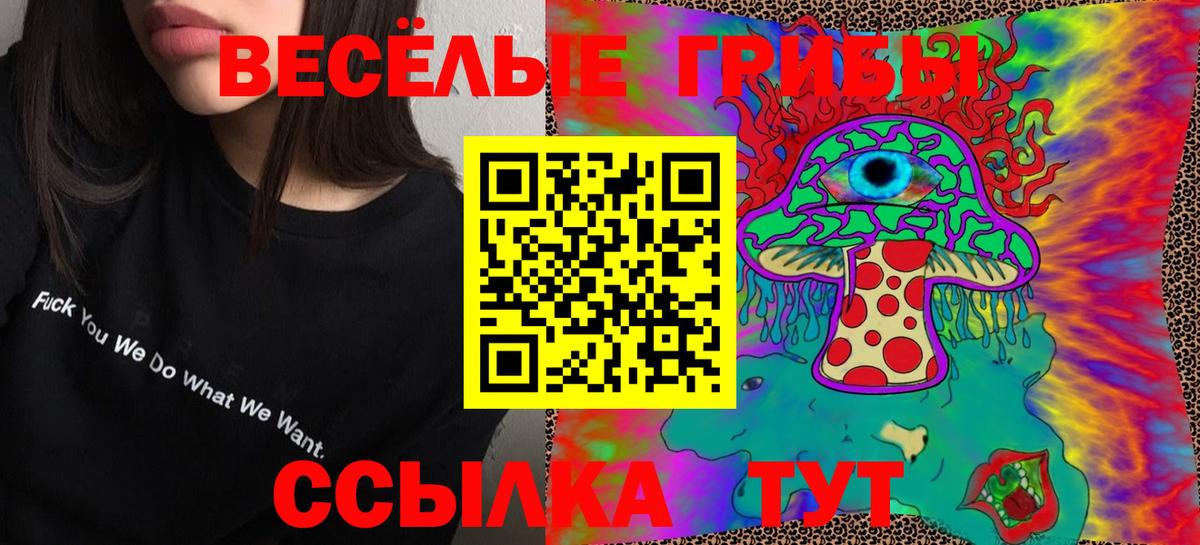 Псилоцибиновые грибы Psilocybe Бийск